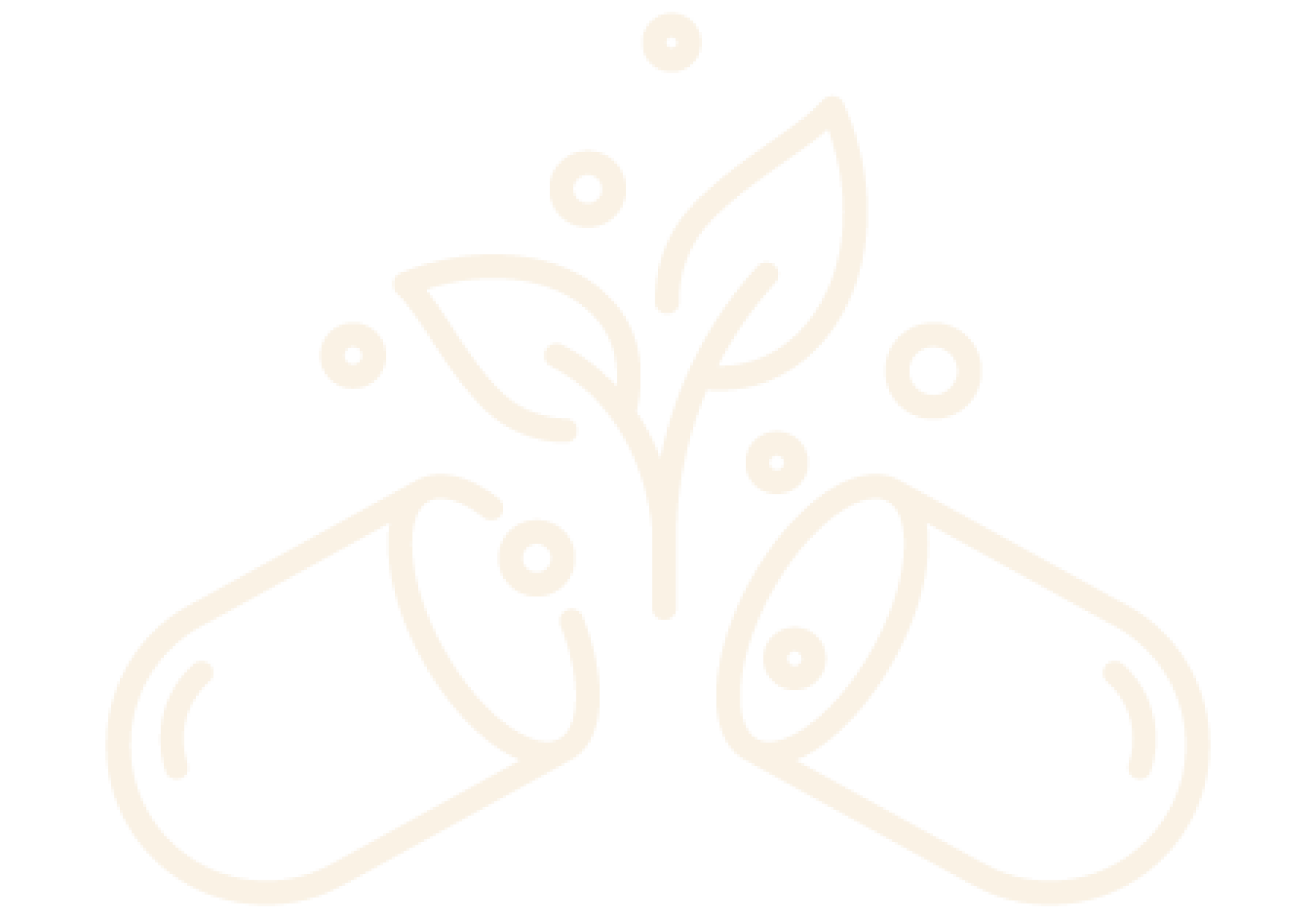 FIRST-CLASS INGREDIENTS